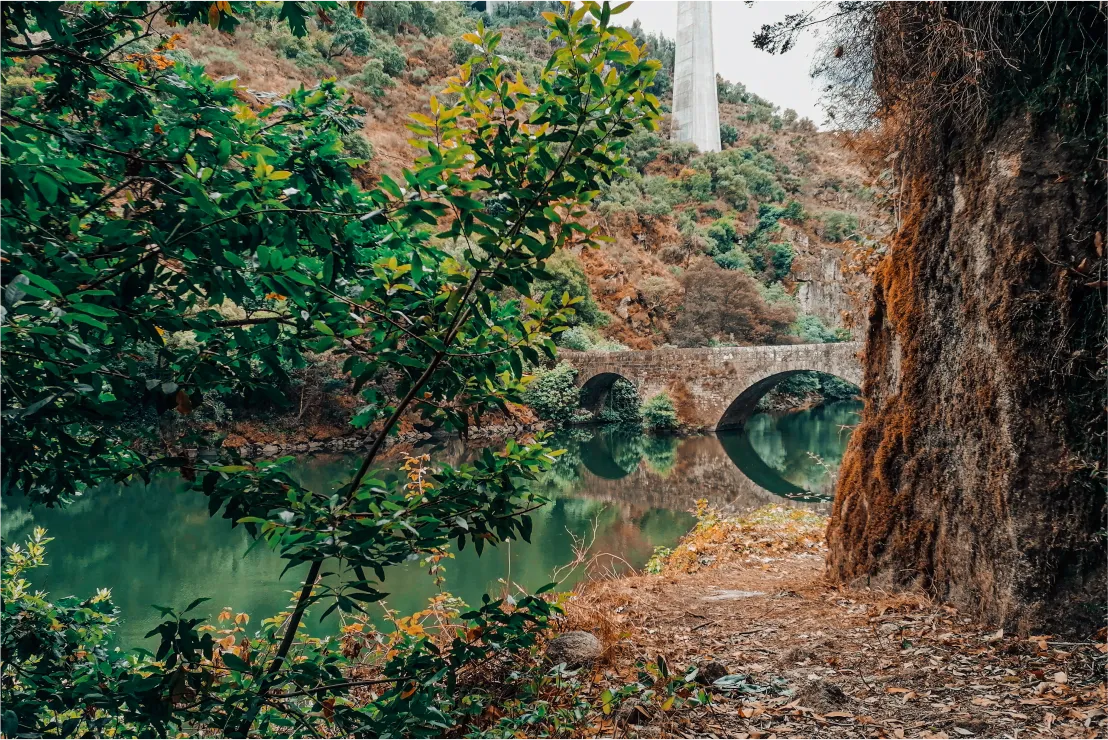 Ponte Filipina Ponte Filipina